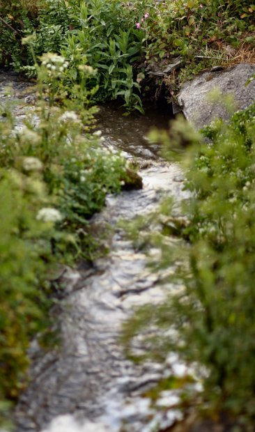 Tintagel Castle Creek 2006-06-05@1227-58